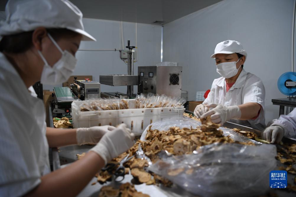 博悦平台娱乐